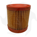 Filtro dell’ aria per rasaerba Aspera Tecumseh AV 125 BVL 198 BH 153 - immagine 3