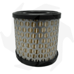 Filtro dell’ aria per motori Briggs & Stratton 2 – 3.5 – 4 – 5 HP - immagine 3