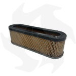 Filtro dell’ aria per motori Briggs & Stratton 10 – 12 HP Verticali