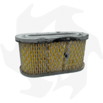 Filtro dell’ aria per rasaerba Briggs & Stratton Vanguard 5 HP