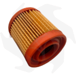 Filtro dell’ aria per rasaerba Aspera Tecumseh AV 125 BVL 198 BH 153 - immagine 2