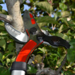 Troncarami a cuneo Falket a lama curva con sistema di taglio special lever - immagine 2