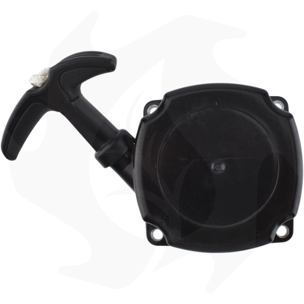 Avviamento completo per motori Progreen PG52 – PG34 (1) Avviamento completo per motori Progreen PG52 – PG34 - immagine 1