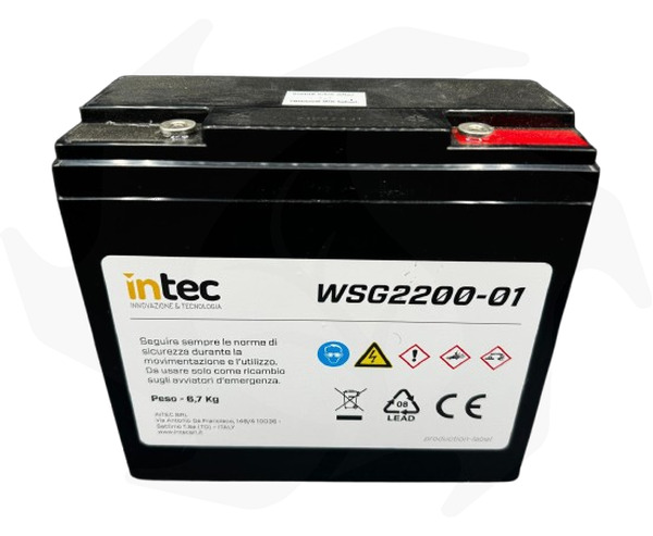 Batteria di ricambio per avviatore di emergenza SG2200 (1) Batteria di ricambio per avviatore di emergenza SG2200 - immagine 1