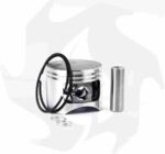 Cilindro completo per motoseghe ZENOAH-ASIA-CINA-GOOD LUCK-LEA-SANDRIGARDEN-SWM-MTD - immagine 5