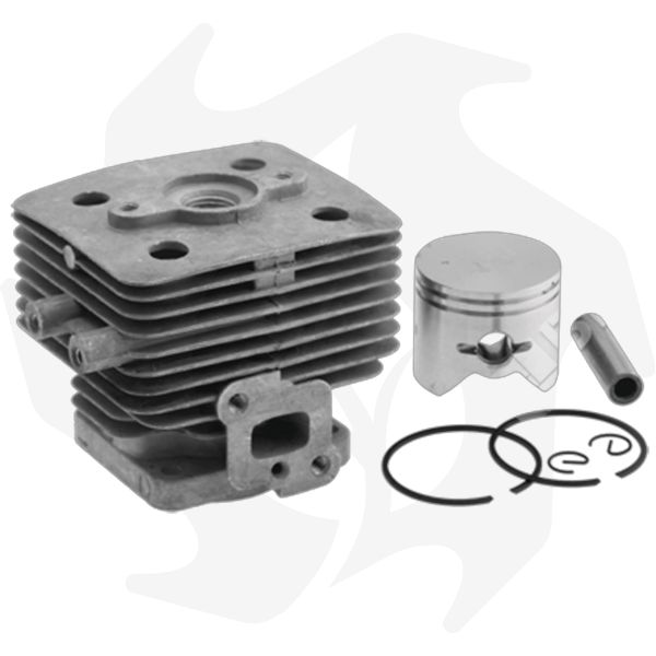 Cilindro e pistone per GreenLine GL 34 Cilindro e pistone per GreenLine GL 34 - immagine 1