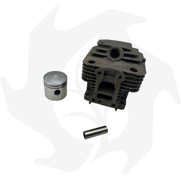 Cilindro e pistone per motore MITSUBISHI TLE 33FA (1) Cilindro e pistone per motore MITSUBISHI TLE 33FA - immagine 1