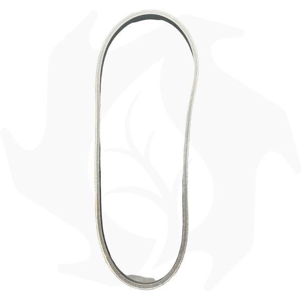 Cinghia di trasmissione Tipo 1 13 x 905 La Cinghia di trasmissione Tipo 1 13 x 905 La - immagine 1