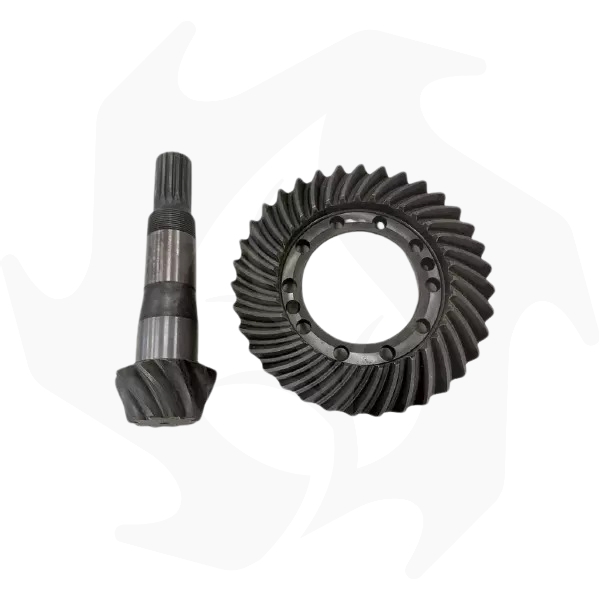 Coppia conica Z 1035 per Same Coppia conica Z: 10/35 per Same - immagine 1