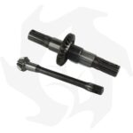 Coppia conica pignone + corona + asse inferiore rigato per fresa Goldoni 21M Z:9/25