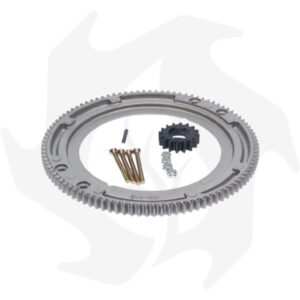 Corona dentata per volano Biggs & Stratton rif. 696537