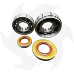 Cuscinetti albero motore e anelli di tenuta Stihl