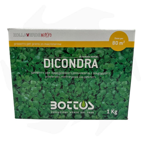 Dichondra Repens Bottos – 1Kg Sementi dicondra repens tappezzanti per tappeto folto a bassa manutenzione (3) Dichondra Repens Bottos – 1Kg Sementi dicondra repens tappezzanti per tappeto folto a bassa manutenzione - immagine 1