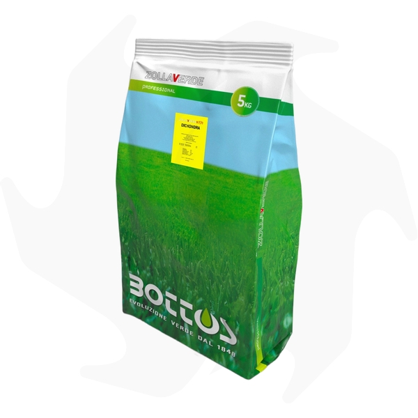 Dichondra Repens Bottos – 5Kg Sementi dicondra repens tappezzanti per tappeto folto a bassa manutenzione