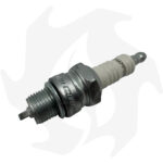 Filtro aria Intermotor Acme + Candela RL95YC - immagine 3