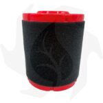 Filtro aria completo per motore 4 tempi Zanetti ZBM270 - immagine 3