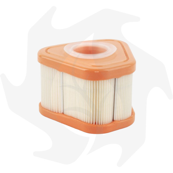 Filtro aria per Briggs & Stratton serie 800 (2) Filtro aria per Briggs & Stratton serie 800 - immagine 1