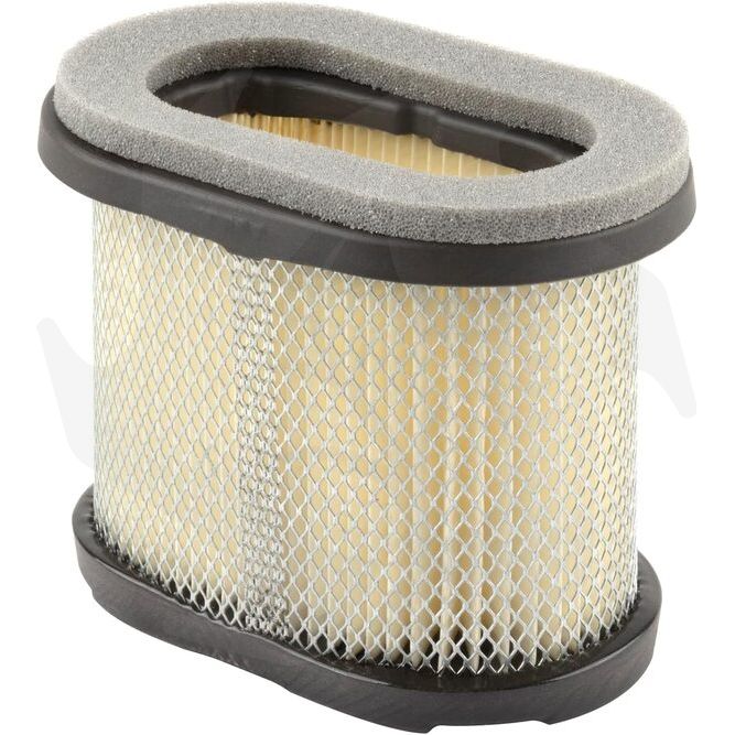 Filtro aria per motore Briggs & Stratton Quantum 697029 (1) Filtro aria per motore Briggs & Stratton Quantum 697029 - immagine 1