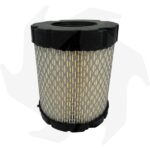 Filtro aria per motore Briggs & Stratton serie 44P977 49M977 - immagine 3