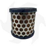 Filtro aria per motore Briggs&Stratton 2 – 3.5 – 4 – 5 HP - immagine 3