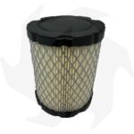Filtro aria per motori Briggs & Stratton 8 12,5 HP