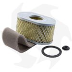 Filtro aria per motori Briggs & Stratton Vanguard 6,5 HP
