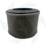 Filtro aria per motori Kawasaki FJ180V