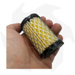 Filtro dell’ aria Aspera per motori CENTURA SPECTRA 37 40 TVS ECV H35