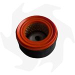 Filtro dell’ aria completo per motore Acme ACT 280 OHC - immagine 2