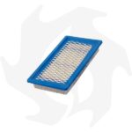 Filtro dell’ aria per motore Briggs & Stratton Vanguard 4 HP - immagine 2