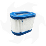 Filtro dell’ aria per motore Centura 55 65 - immagine 3