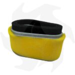 Filtro dell’ aria per motore Kawasaki FC150 FC150V 4,5 – 5 HP