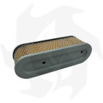 Filtro dell’ aria per motori Briggs & Stratton 10 – 12 HP Verticali - immagine 2