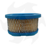 Filtro dell’ aria per motori Briggs & Stratton Quantum 5 HP - immagine 3