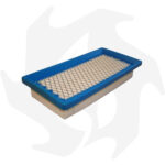 Filtro dell’ aria per motori Briggs & Stratton Vanguard 5.5HP