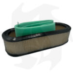 Filtro e prefiltro aria per motori Briggs & Stratton 14 16 18HP Verticali