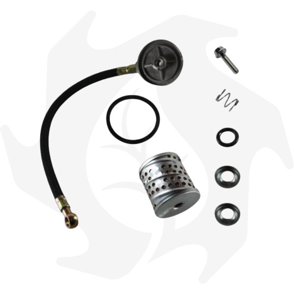 Filtro gasolio completo Lombardini LDA100 LDA510 (4) Filtro gasolio completo Lombardini LDA100 LDA510 - immagine 1