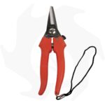 Forbice FALKET COGLIUVA in acciaio Inox con cinturino in pelle