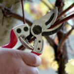 Forbici professionali FALKET 2112 by-pass per potatura - immagine 3