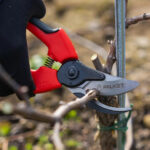 Forbici professionali Falket da vigna 2097 - immagine 5