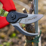 Forbici professionali Falket da vigna 2097 - immagine 6
