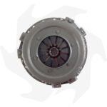 Frizione monodisco con molle a diaframma Piatto Ø 110 mm Goldoni Special Lux - immagine 2