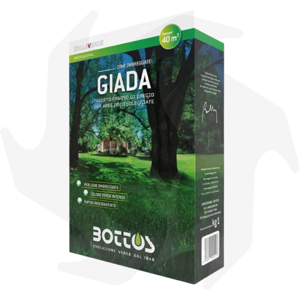Giada Bottos – 1Kg Sementi evolute per prato ombreggiato Giada Bottos – 1Kg Sementi evolute per prato ombreggiato - immagine 1