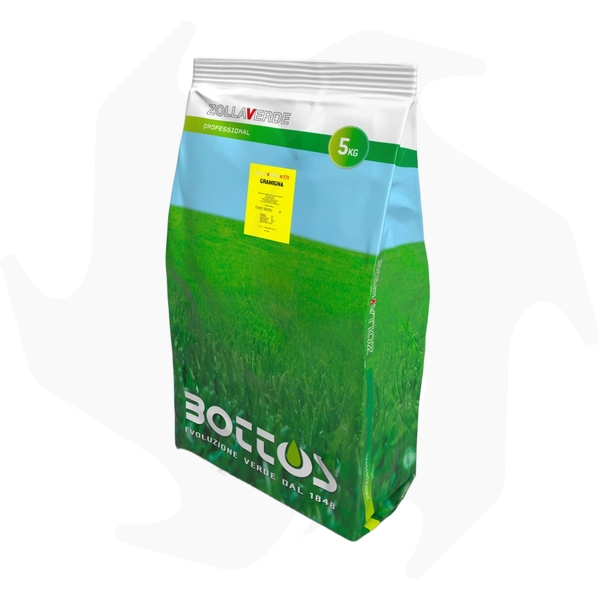 Gramigna Bottos – 5Kg Sementi di specie gramigna per zone a siccità prolungata Gramigna Bottos – 5Kg Sementi di specie gramigna per zone a siccità prolungata - immagine 1