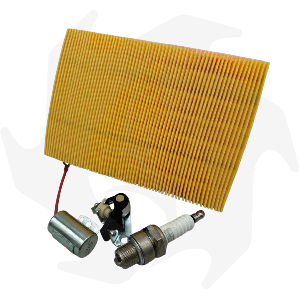 IMG-20241227-WA0253-removebg-preview Kit completo puntine platinate, condensatore candela e filtro dell’aria per motore ACME AL215-290-330 - immagine 1