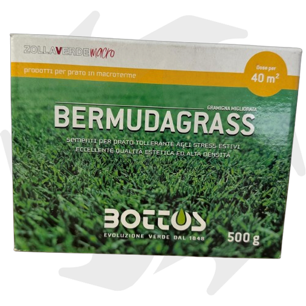 IMG-20250123-WA0052-removebg-preview_risultato Bermudagrass Bottos – 500g Sementi resistenti al caldo e alla siccità - immagine 1