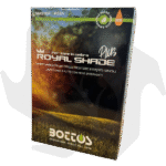 Royal Shade Plus Bottos – 1Kg Sementi conciate professionali per prato verde scuro ideale per zone in ombra - immagine 3