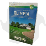 Olimpia Bottos – 1Kg Sementi evolute per prato resistente a bassa manutenzione anche in mezz’ombra - immagine 2
