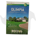 Olimpia Bottos – 1Kg Sementi evolute per prato resistente a bassa manutenzione anche in mezz’ombra