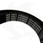 Cinghia di trasmissione HTD 1280-8M-20 - immagine 3